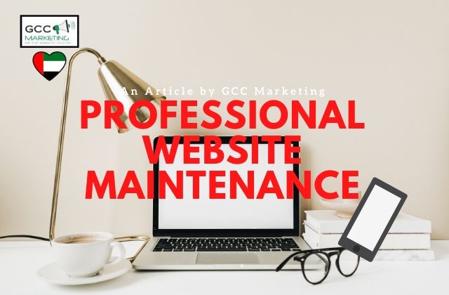 Professional Website Maintenance